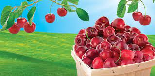 Wunder-Baum Clip "Cherry"